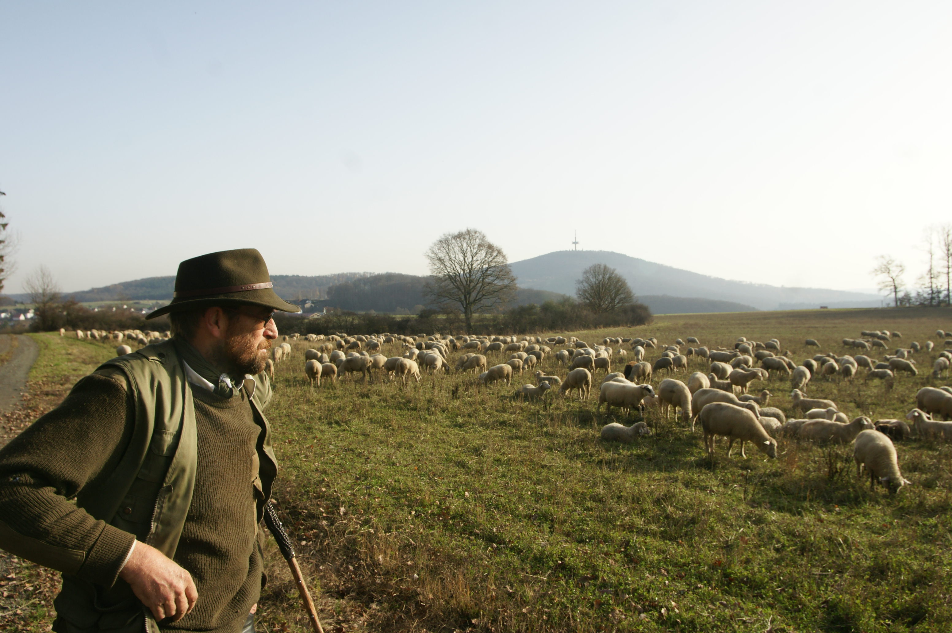 Schafe aus dem All orten